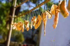 百病皆由痰作祟！很多人的病都是这么来的！