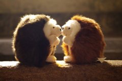 立冬：第一个补肾日，艾灸点把“火”！