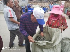 做『 好艾条 』必不可少的一道工序，你一定想不到！